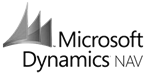 Website koppelen aan Microsoft Dynamics Navision